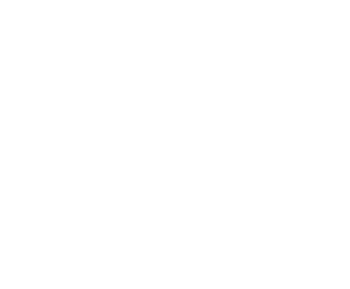 Balzer Logo